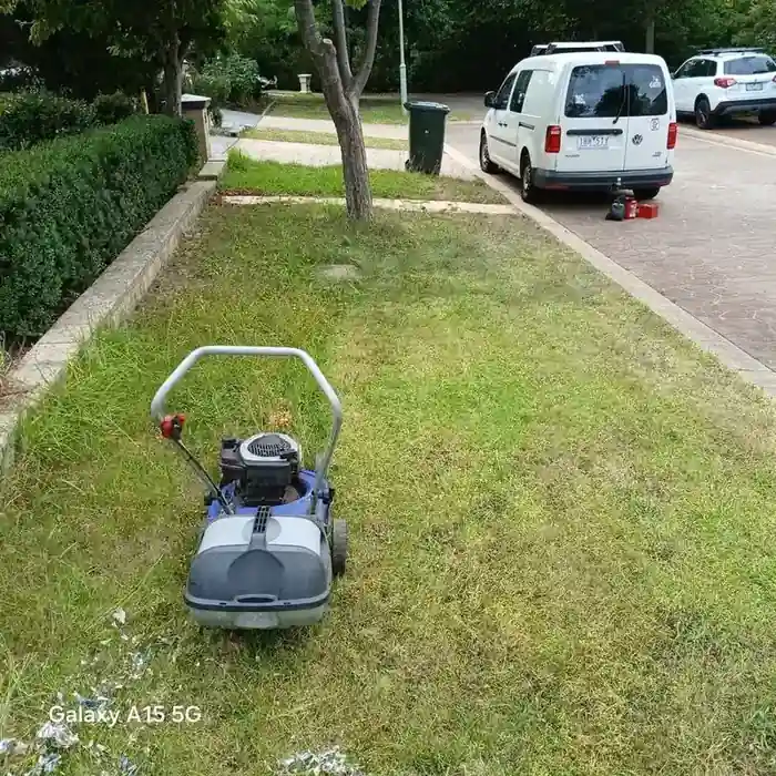 Lawn mowing front